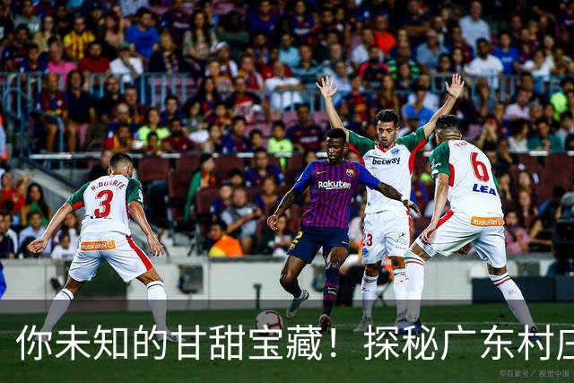 你未知的甘甜宝藏！探秘广东村庄的顶级水果
